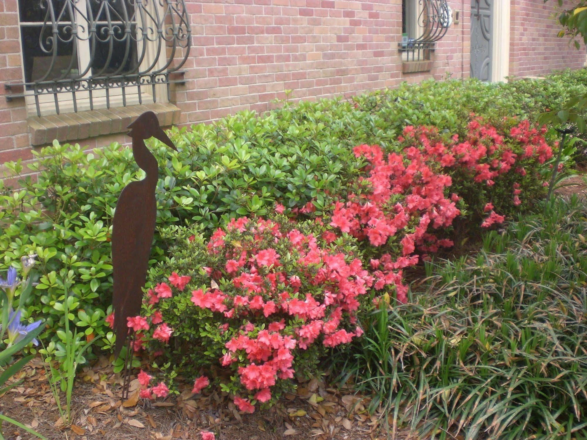The Stockade Bed And Breakfast Baton Rouge Dış mekan fotoğraf